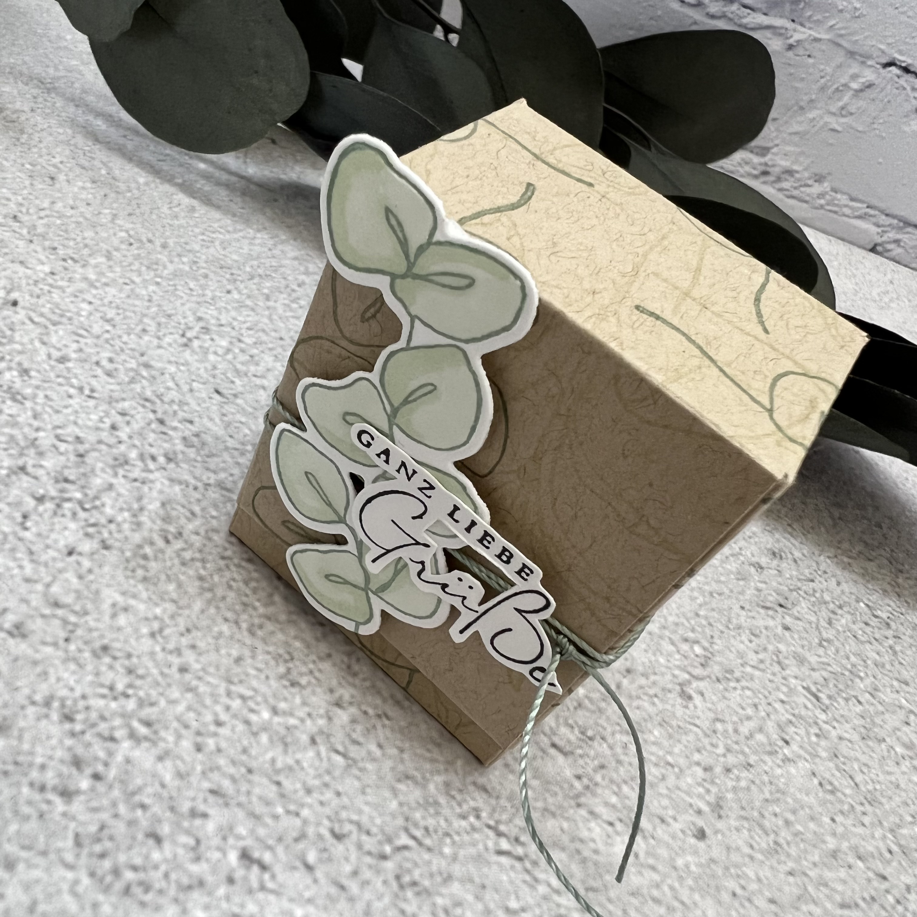 Schone Gedanken - Box Savanne 3.jpeg